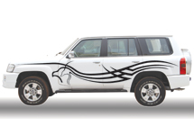 Vehicle Graphics